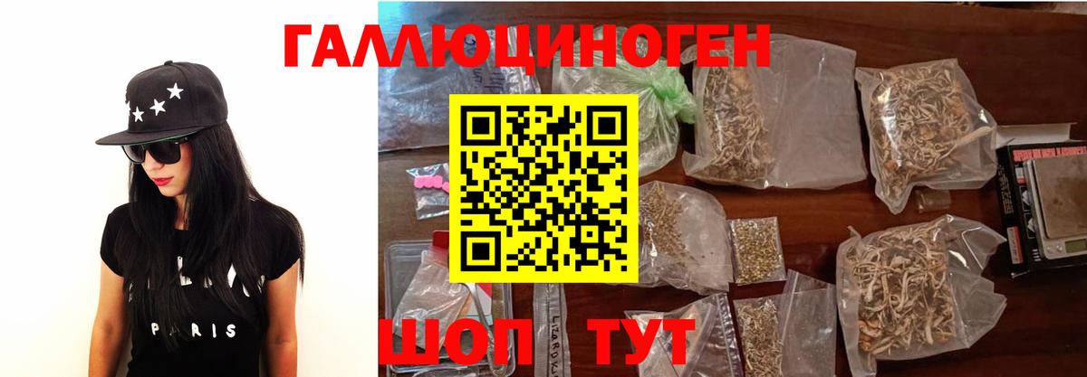 Тавда  Галлюциногенные грибы Psilocybine cubensis  Вход с VPN 